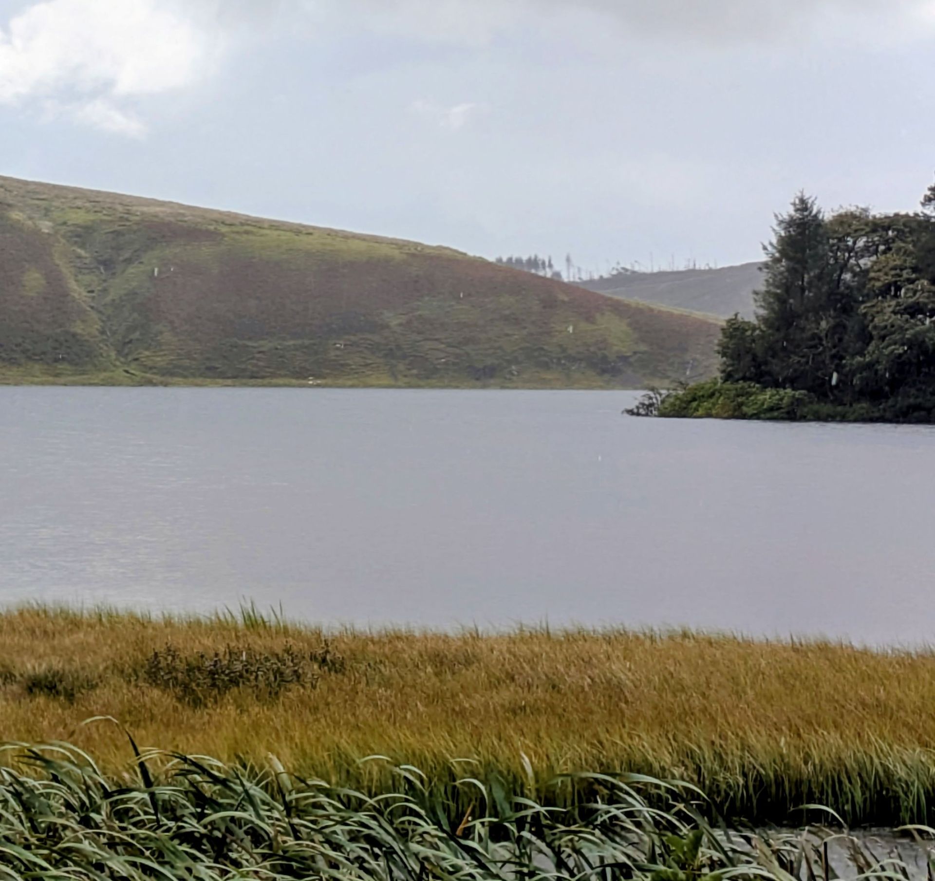 Glenbuck Loch on a rainy day